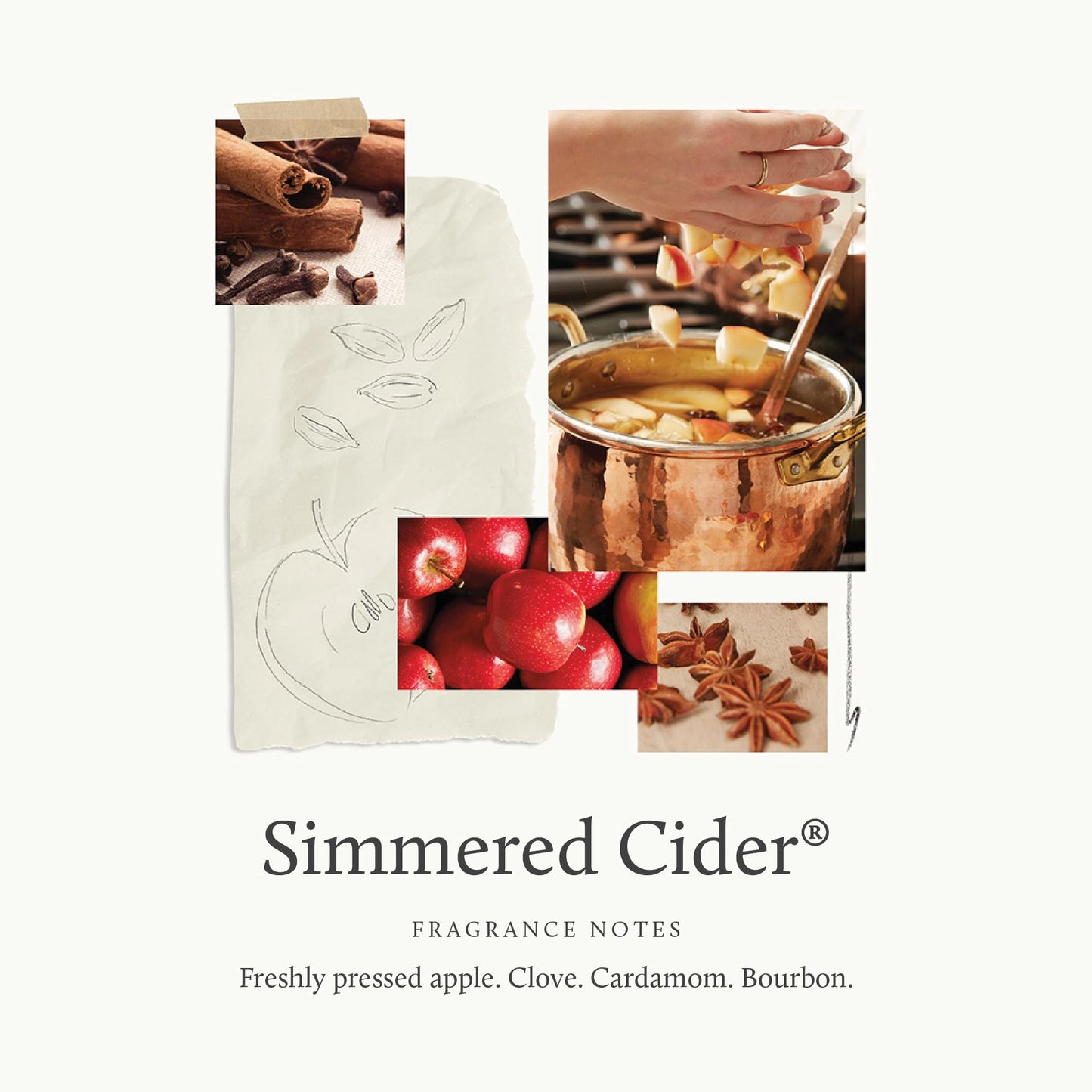 Thymes Simmered Cider Fragrance Mist - Apple & Cardamom Room Spray (3 oz)