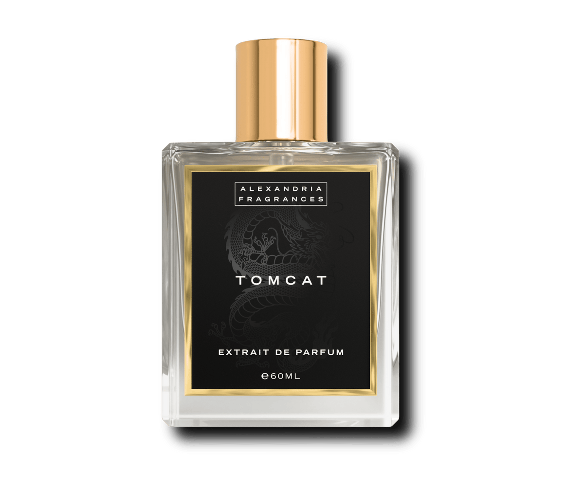 Tomcat Inspired by Babycat