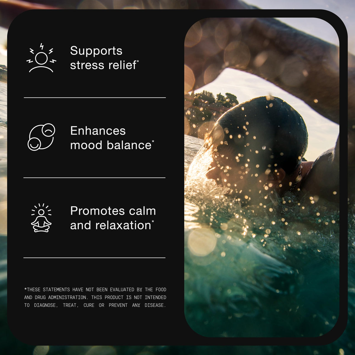 Toniiq Ashwagandha 40:1 Extract – 25% Withanolides | 120 Capsules