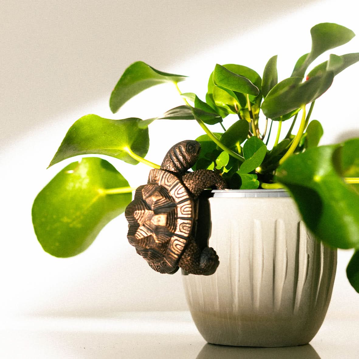 Tortoise Plant Pot Hanger Bronze Effect Resin Ornament 11cm