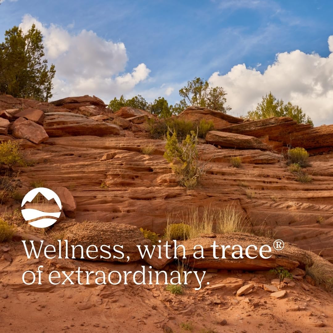 Trace Minerals Immunity Plus Daily Liquid Immune Support with Elderberry & Zinc