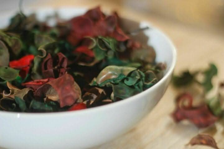 Spiced Apple & Cinnamon Pot Pourri