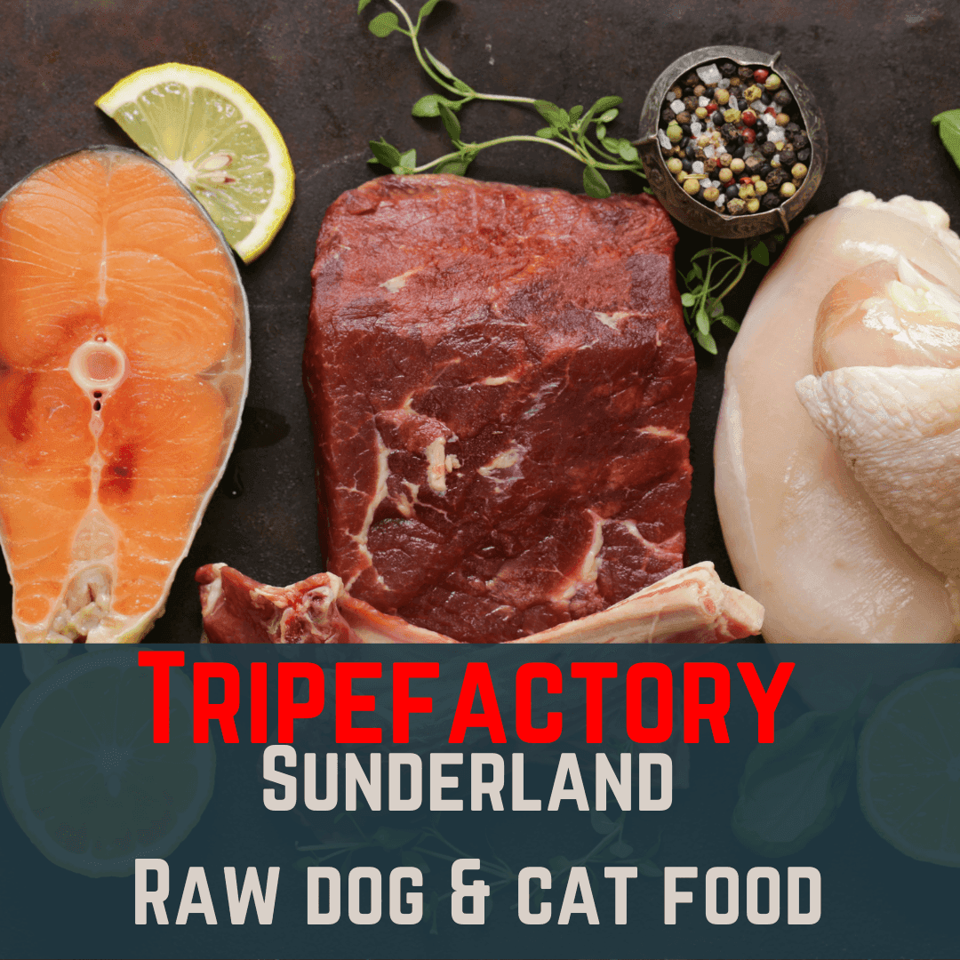 Tripefactory Sunderland - MIXED BOX