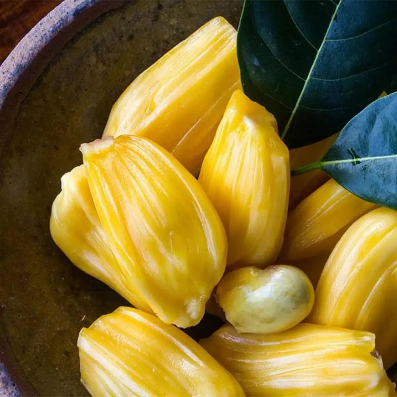 Tropical Sun Sweet Yellow Jackfruit in Syrup 565g