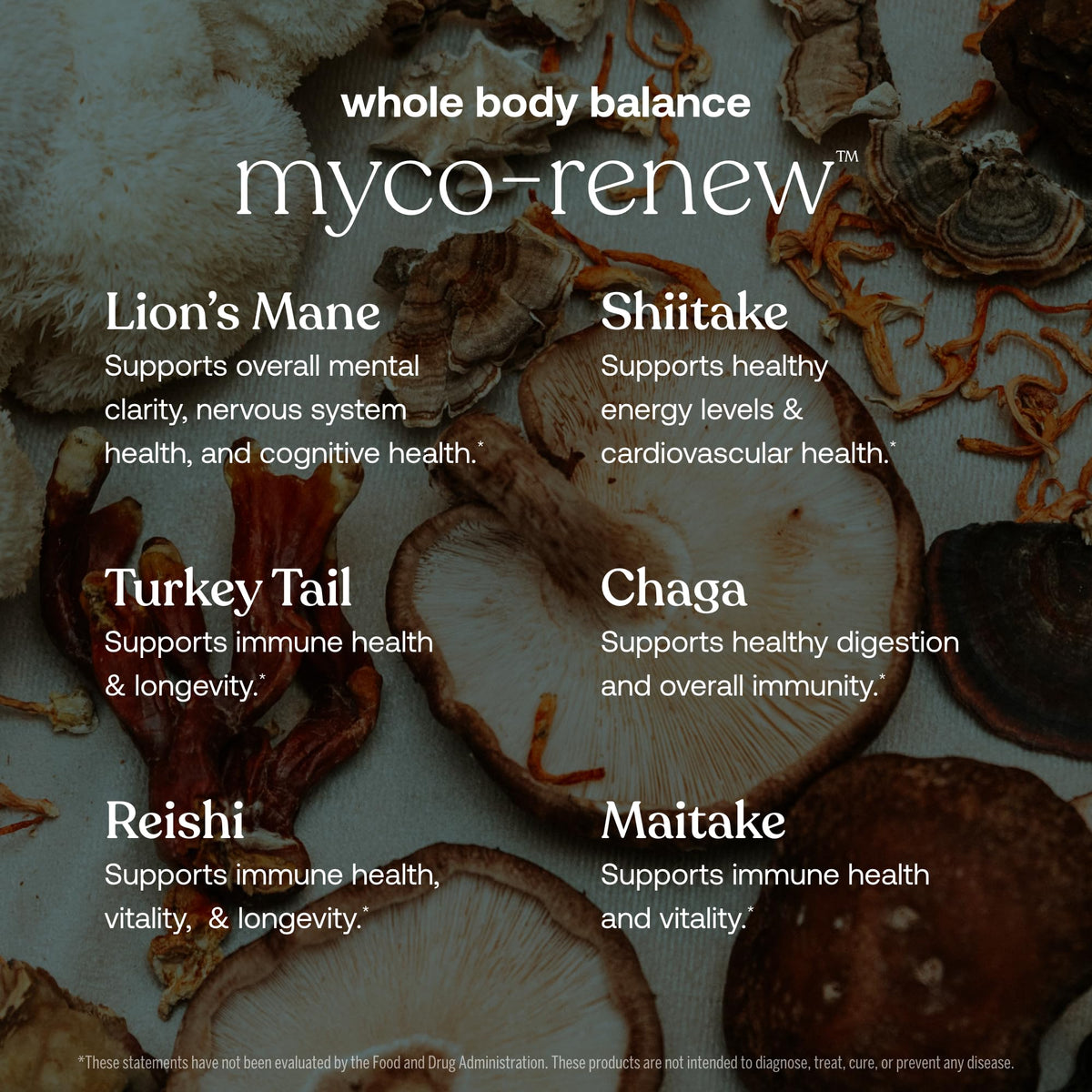 True Grace Mushroom Myco-Renew Blend Daily Immune Support - 120 Count Capsules - Organic