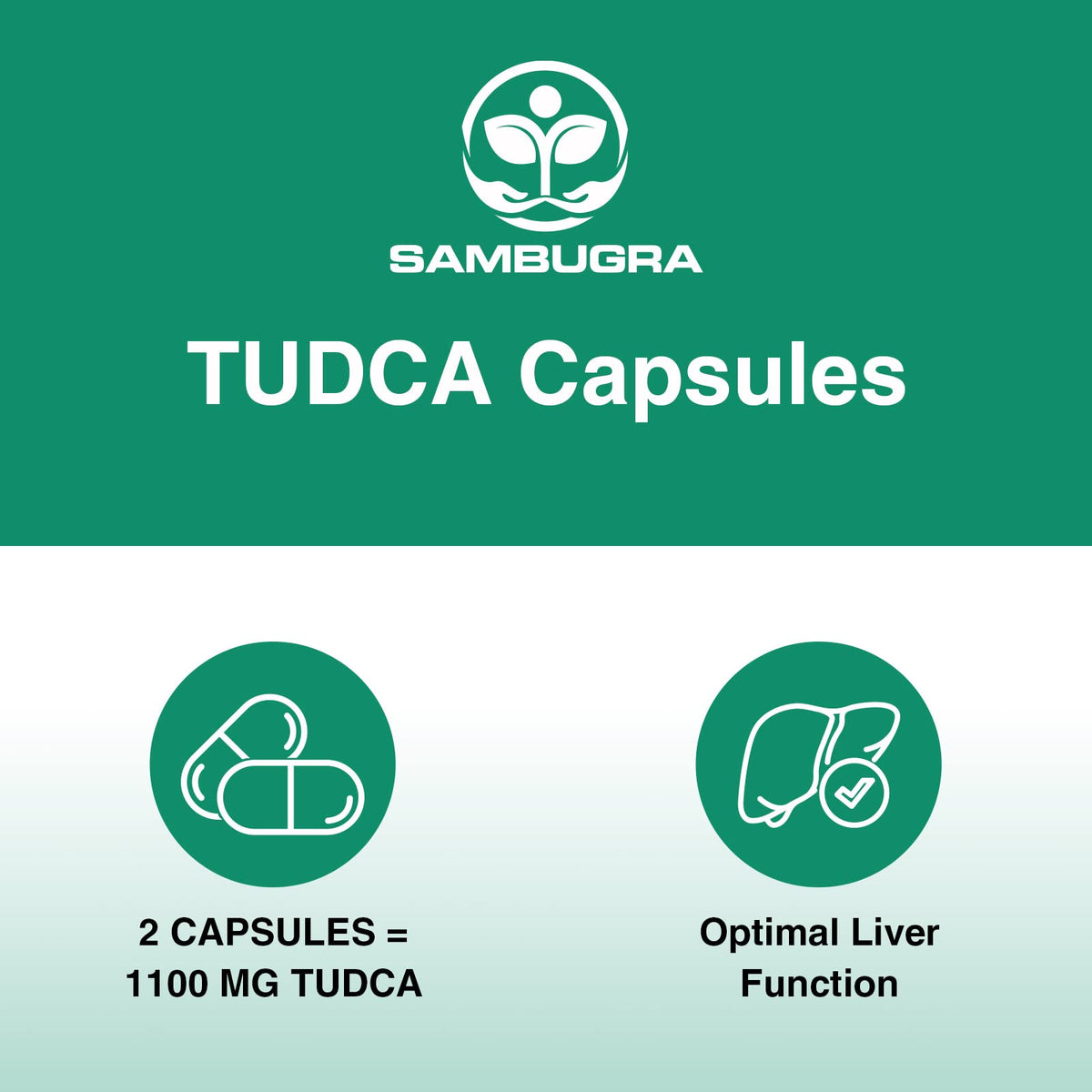 Sambugra TUDCA Liver Supplements 1100mg, 3rd Party Tested Ultra Strength Bile Salt TUDCA Supplement, Liver Support for Detox Cleanse and Repair, 180 Capsules