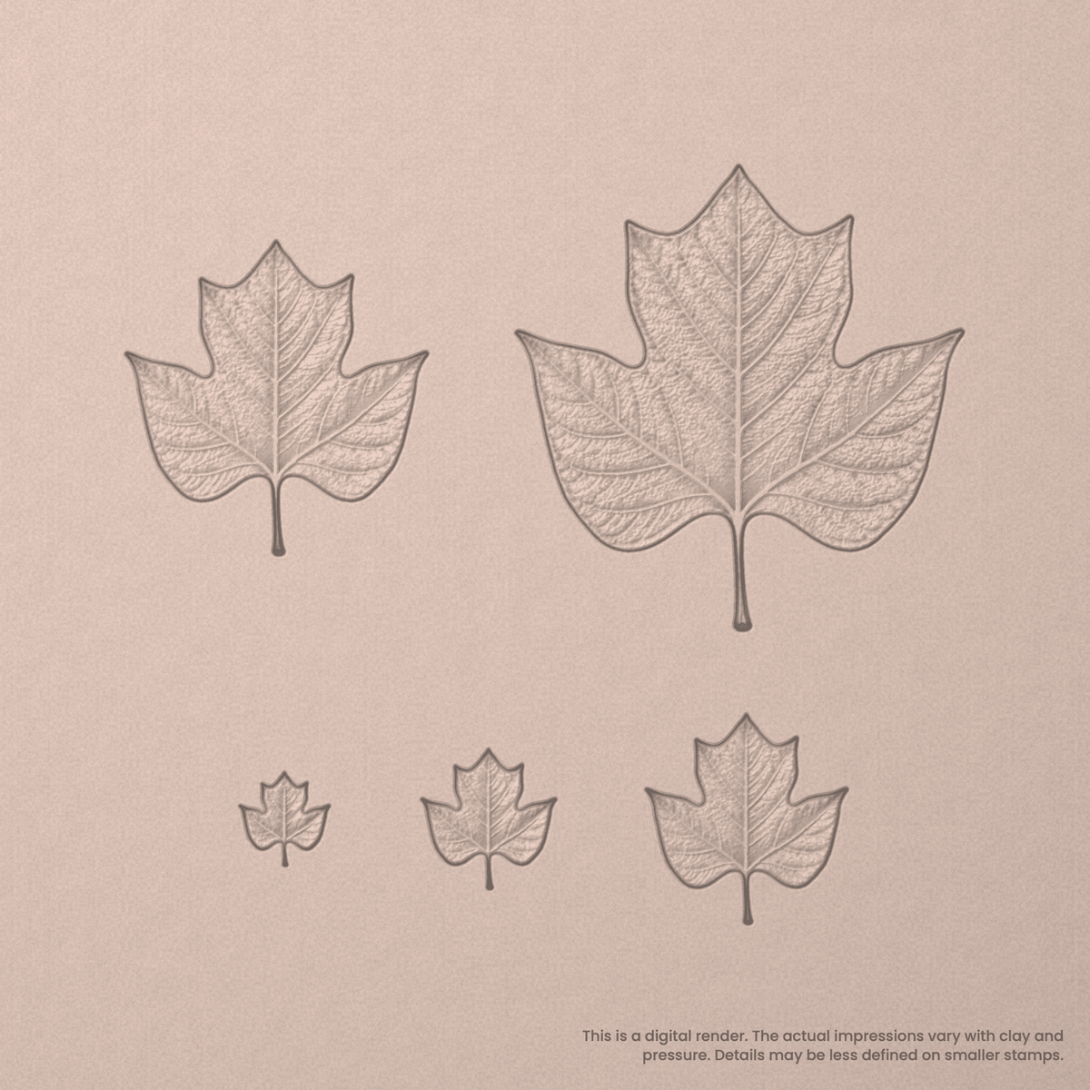 Tulip Tree Leaf Stamps - Photo Textured