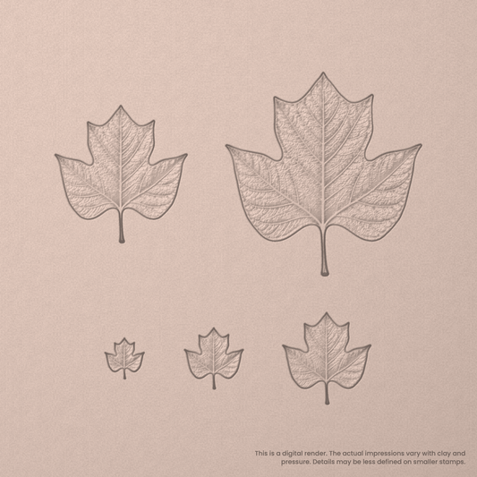 Tulip Tree Leaf Stamps - Photo Textured