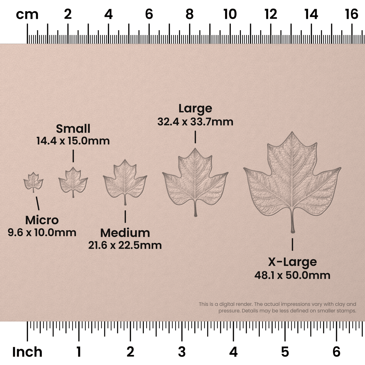 Tulip Tree Leaf Stamps - Photo Textured