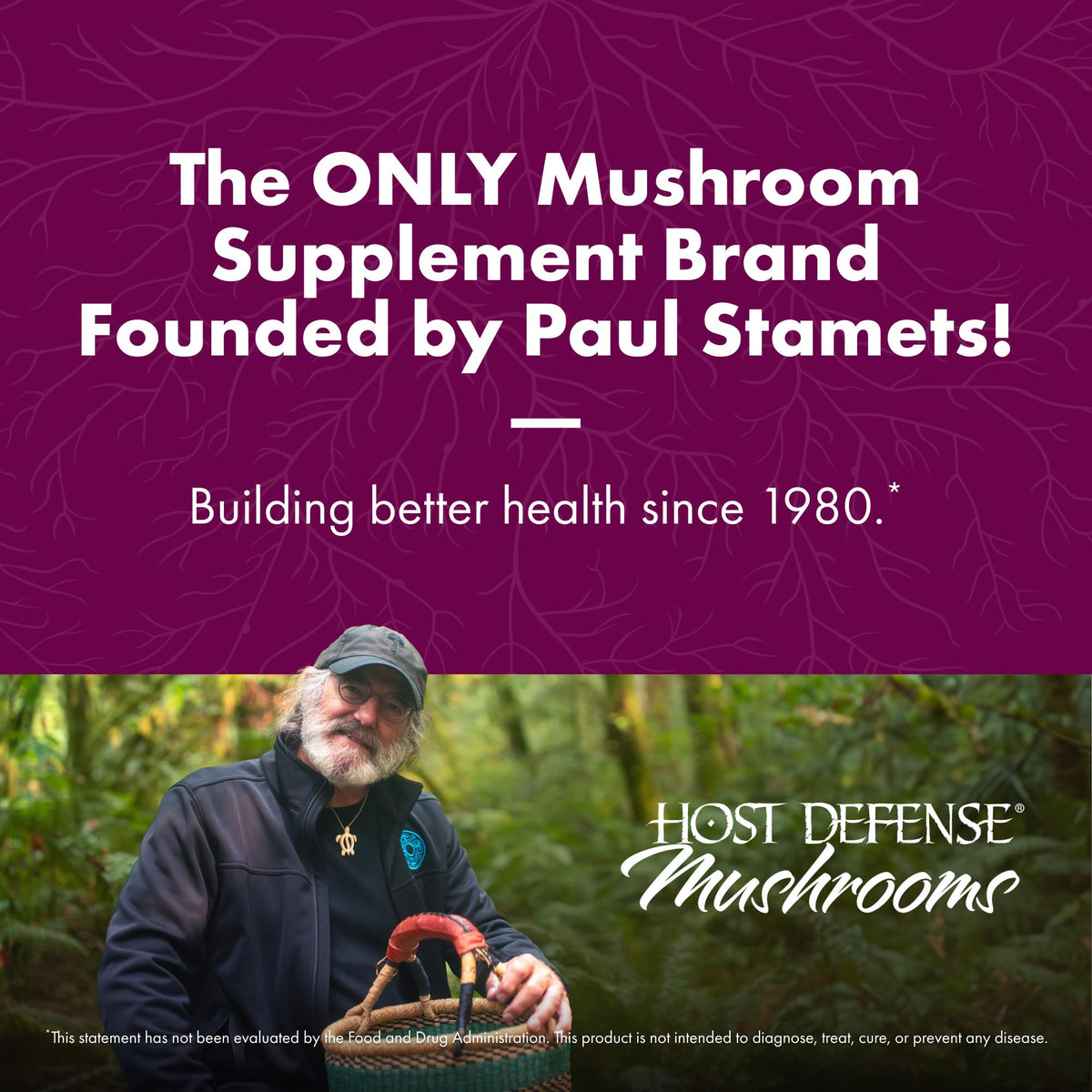 Host Defense Turkey Tail Mushroom Powder – Digestive Health and Immune Support (7 oz)