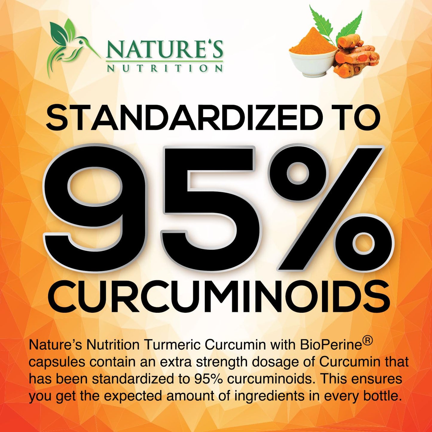 Turmeric Curcumin 1950mg with Bioperine – 60 Capsules