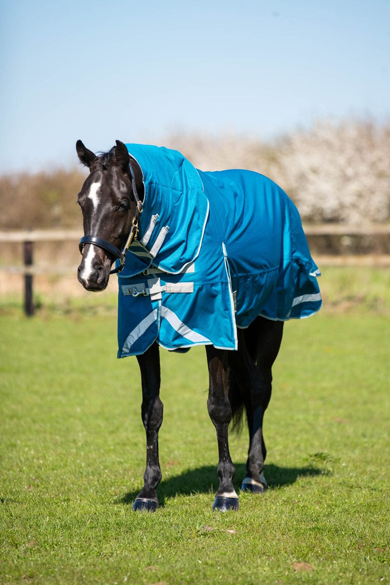 50g Detachable Neck Turnout Rug - Turquoise