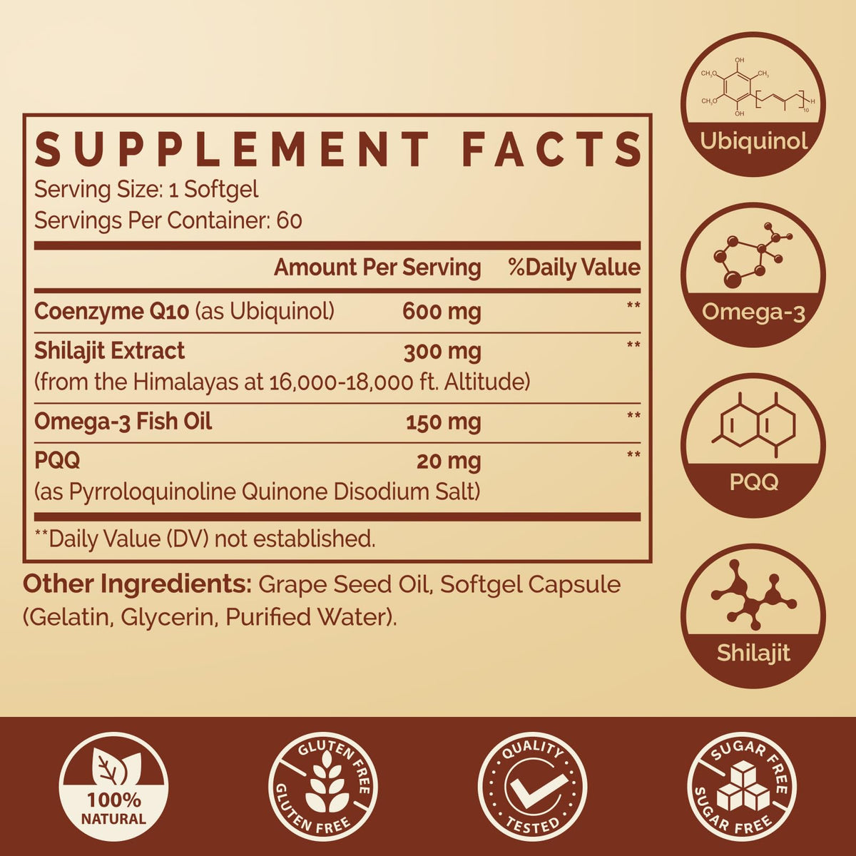 Ubiquinol CoQ10 600 mg Softgels – Dual-Delivery with Omega-3, Shilajit & PQQ, 120 Servings