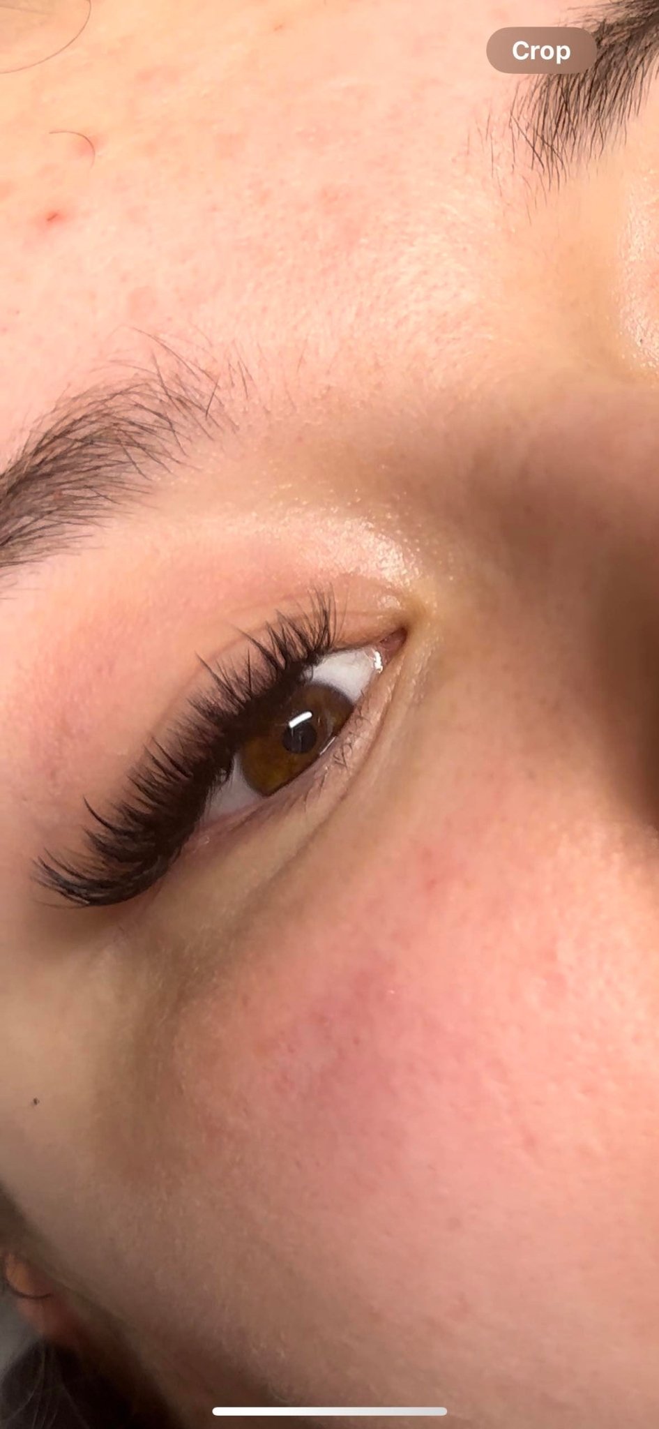 Wet Look Lash Tray Mixed Tray