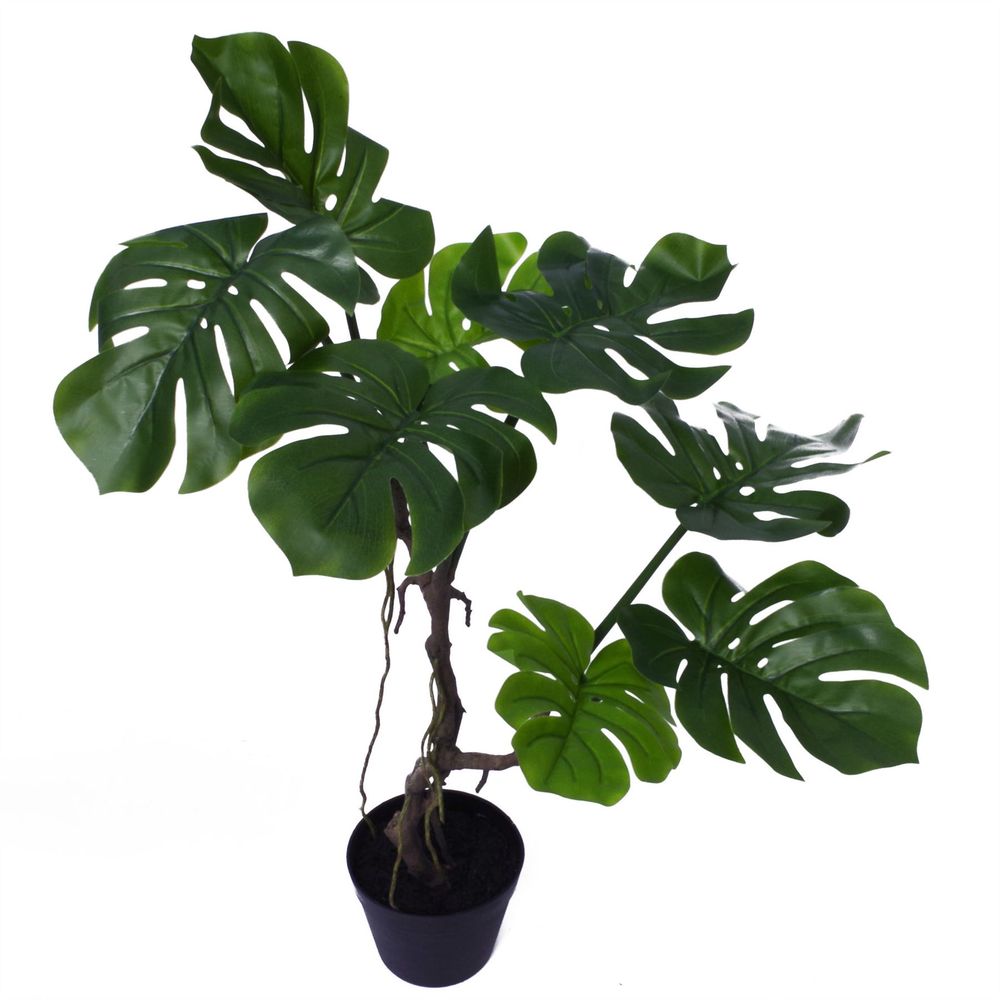 70cm Artificial Twisted Stem Monstera Plant - Lifelike and Elegant - Complete with Plastic Pot - High Quality