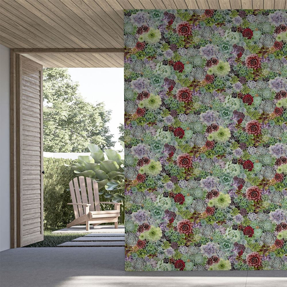 Premium Quality Succulent Living Wall Multi sw12