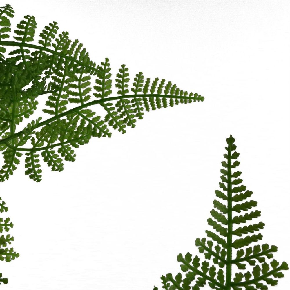 150cm Artificial Natural Moss Base Fern Foliage Plant with Silver Metal Planter