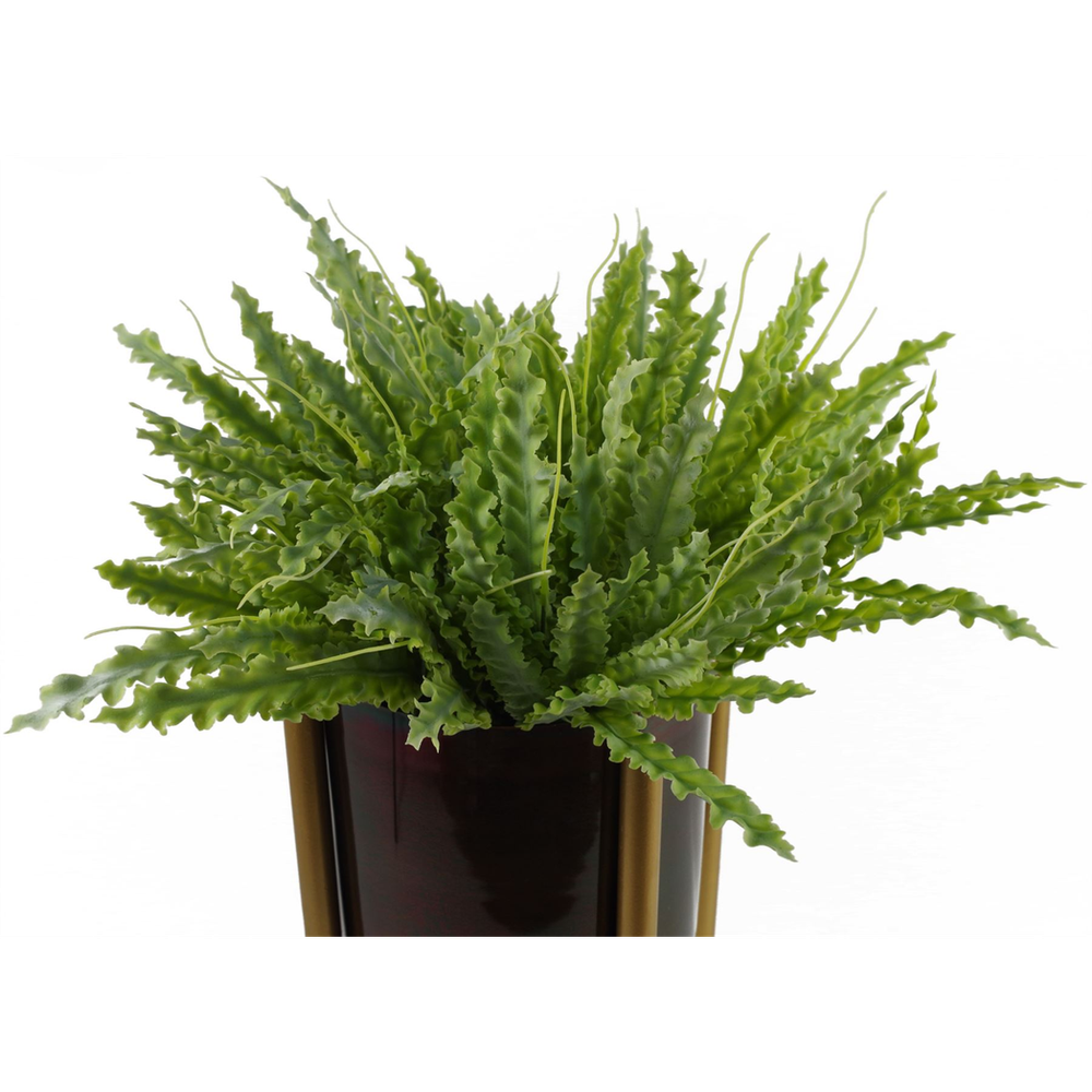 Premium Quality 40cm Artificial Crocodile Fern Plant