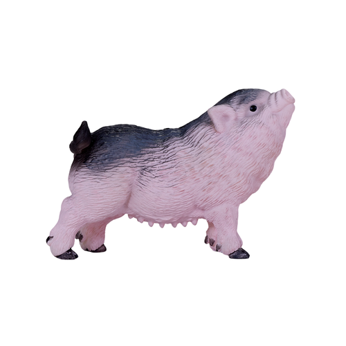 https://images.avasam.com/?w=500&url=https://avasamnew.s3.amazonaws.com/product/GB010278/S0671612907/main.png