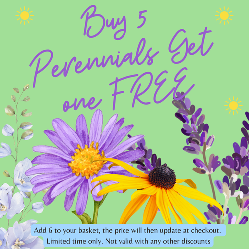 https://images.avasam.com/?w=500&url=https://avasamnew.s3.amazonaws.com/live//perennials_offer_pic.png
