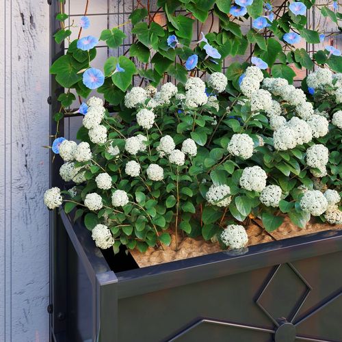Outsunny Metal Raised Garden Bed Planter Box with Trellis, 90 x 40 x 120 cm