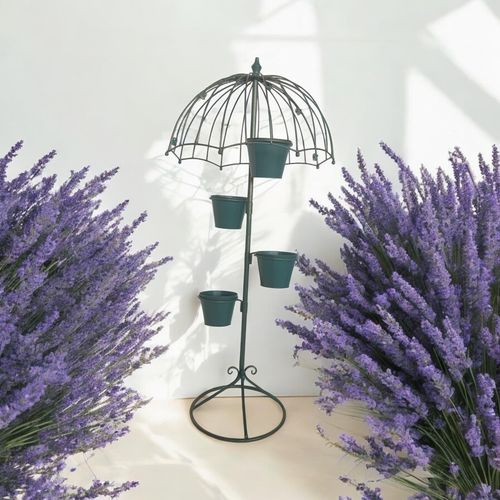 https://images.avasam.com/?w=500&url=https://avasamnew.s3.amazonaws.com/live/admin/f16129c8-9a55-47a7-a272-56e95ebcaaba.jpg