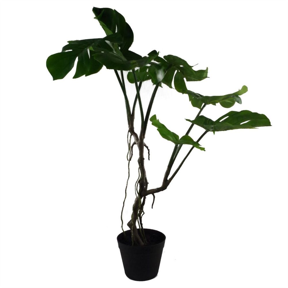 70cm Artificial Twisted Stem Monstera Plant - Lifelike and Elegant - Complete with Plastic Pot - High Quality