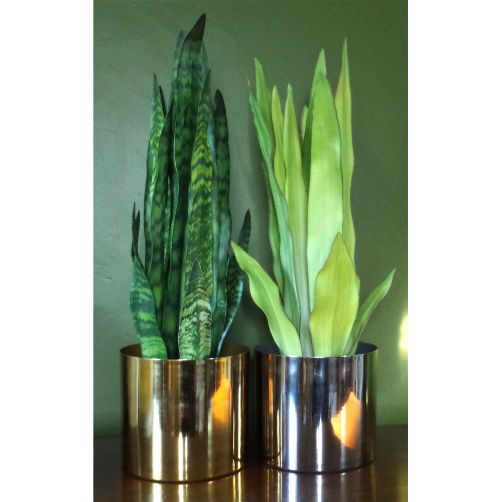 Metal Planter Plant Pot with Polished Gold Finish 20 x 18cm Botanik