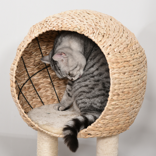 https://images.avasam.com/?w=500&url=https://avasamnew.s3.amazonaws.com/product/GB010126/S0671081222/8.png