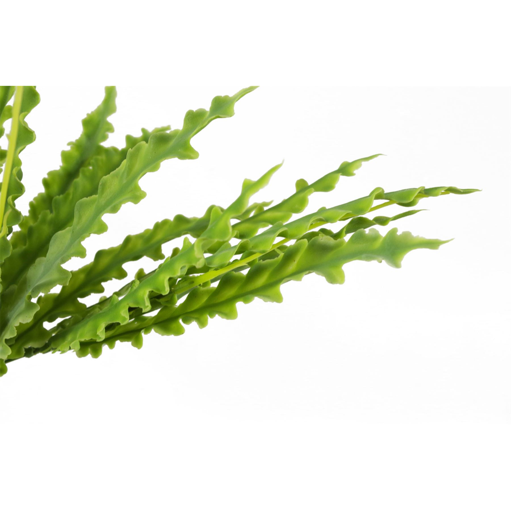 Premium Quality 40cm Artificial Crocodile Fern Plant