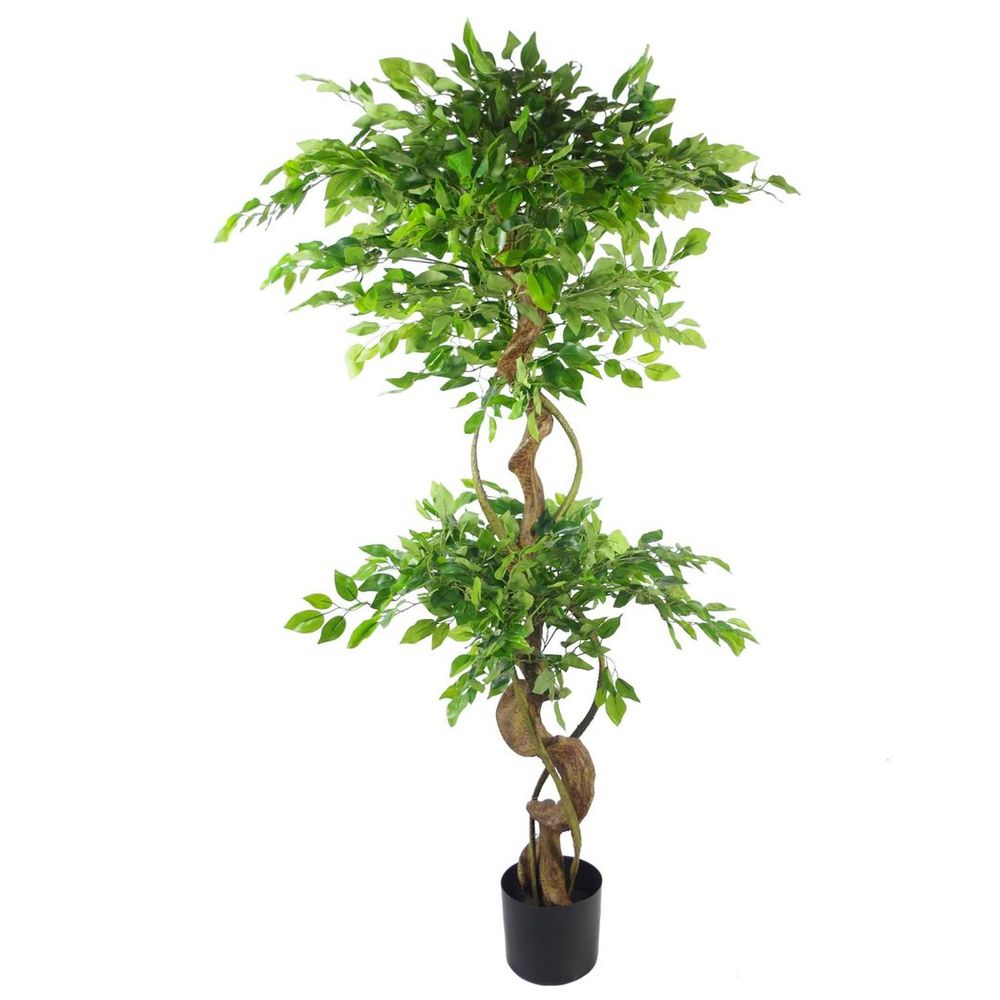 150cm Twisted Trunk Artificial Japanese Ficus Tree & Gold Planter - Premium Quality