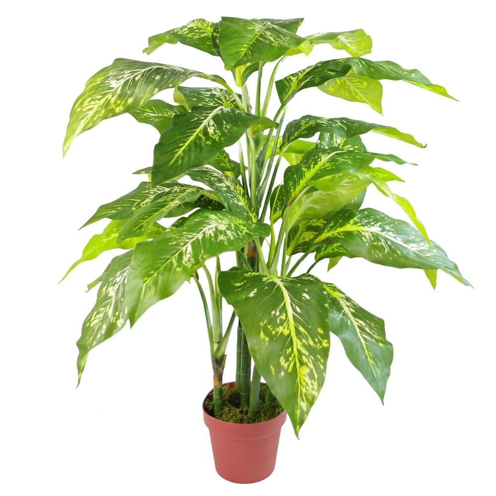 100cm Large Fox's Aglaonema Tree | Artificial Plant with Silver Metal Planter