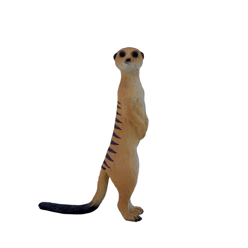 https://images.avasam.com/?w=500&url=https://avasamnew.s3.amazonaws.com/product/GB010278/S0671612836/2.png