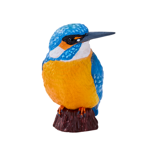 https://images.avasam.com/?w=500&url=https://avasamnew.s3.amazonaws.com/product/GB010278/S0671612539/main.png