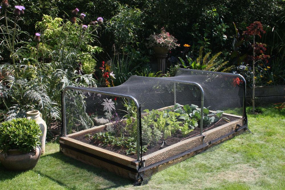 Anti Bird Garden Netting Pond Net Protection Plants Veg Crops Fruit Fine Mesh 2M X 10M