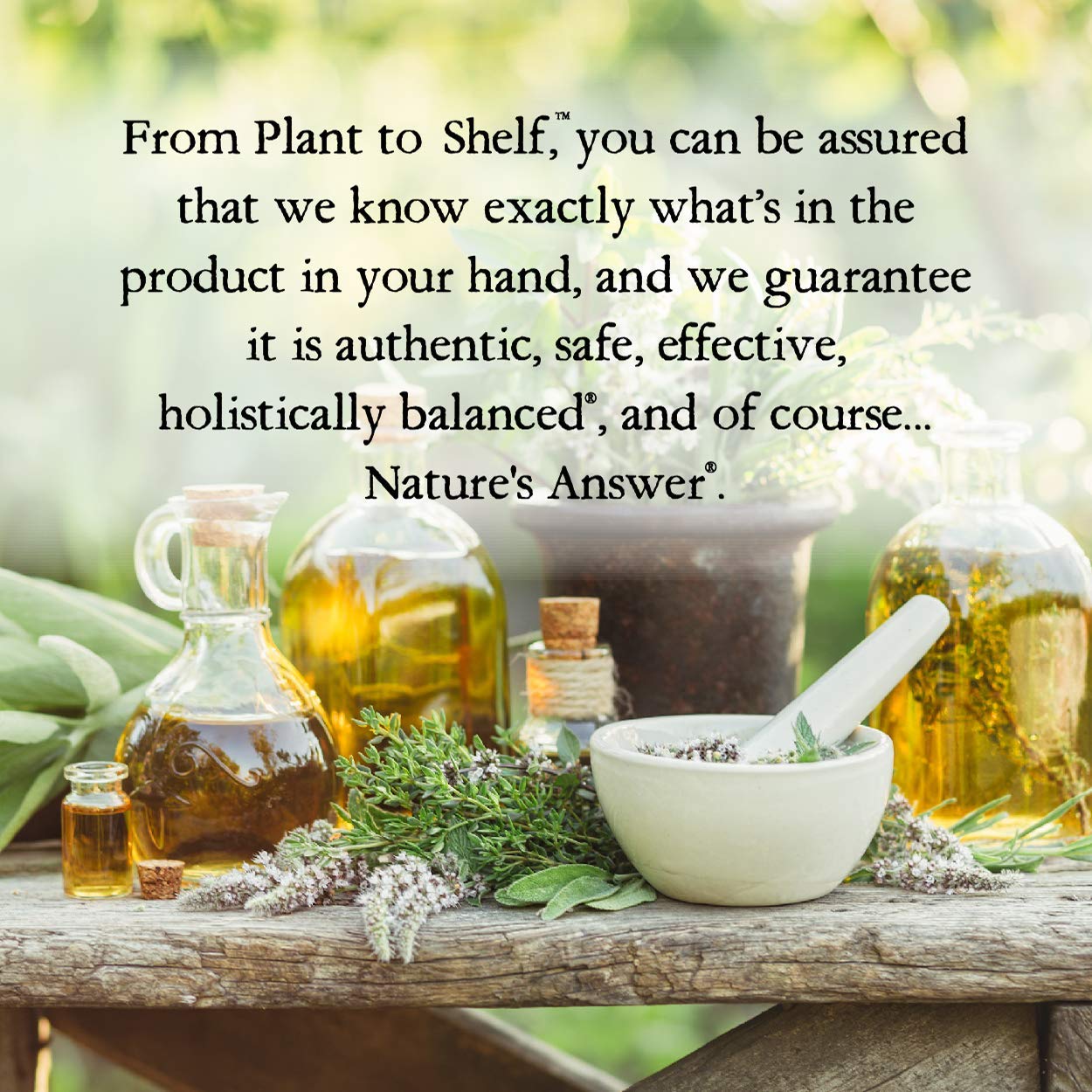 Nature's Answer Oil of Oregano Leaf – Supports Digestive Health | Gluten-Free, Alcohol-Free | 1oz