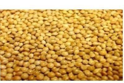Versele Laga French Yellow Millet 25kg