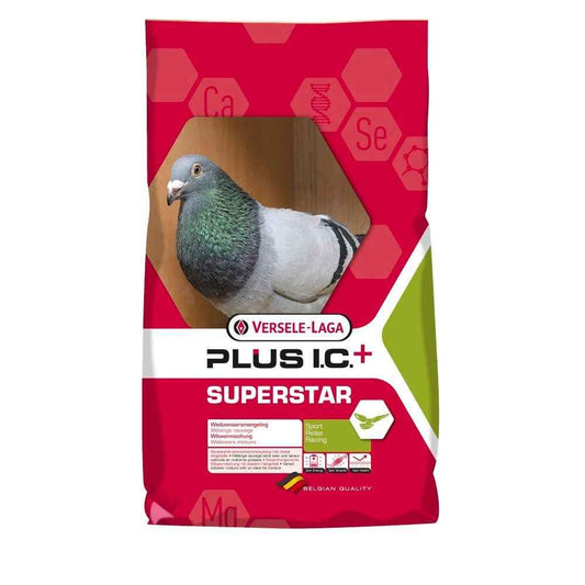 Versele Laga Superstar Plus I.C.