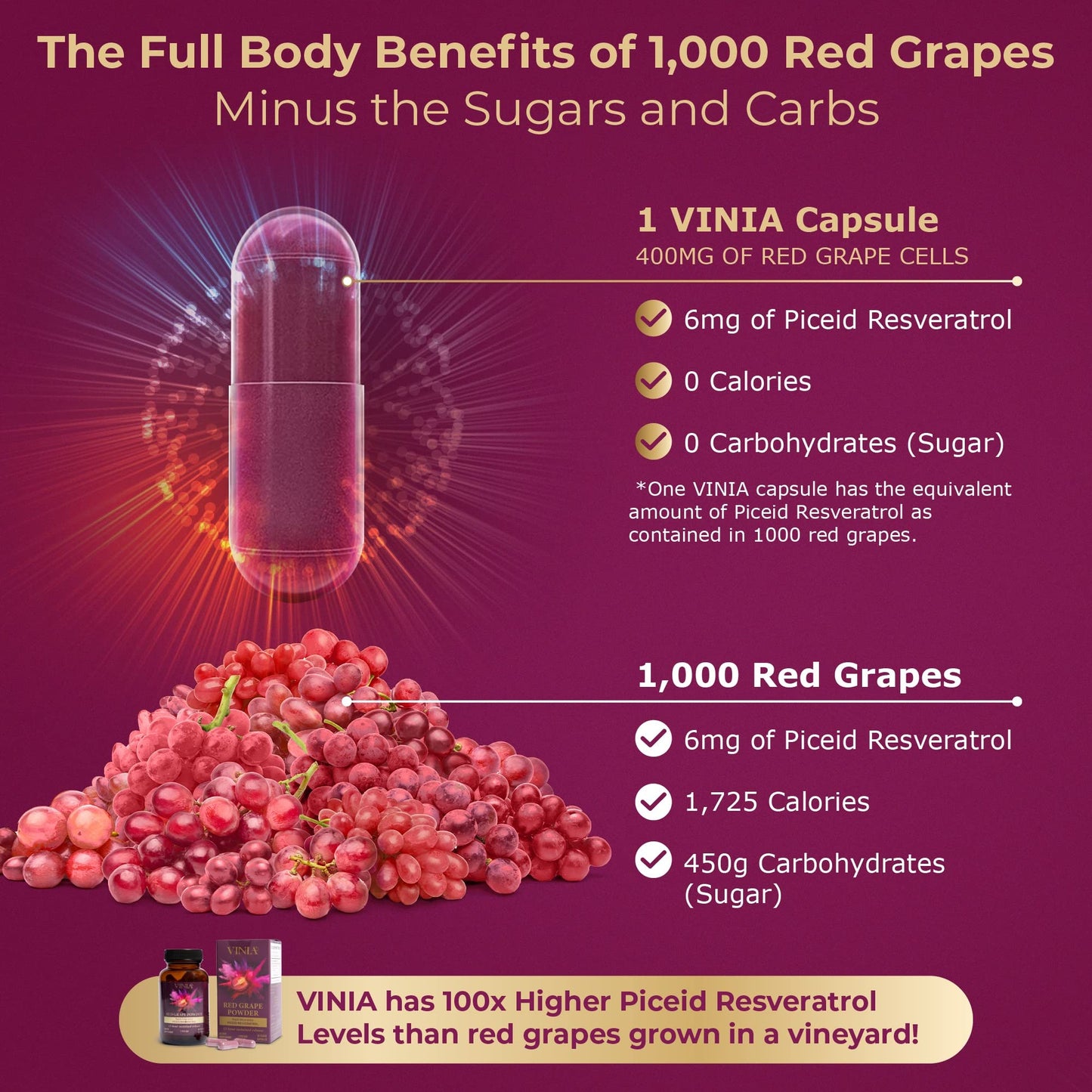 VINIA Piceid Resveratrol Supplement – Blood Flow & Heart Health (Non-GMO, 30 Count)