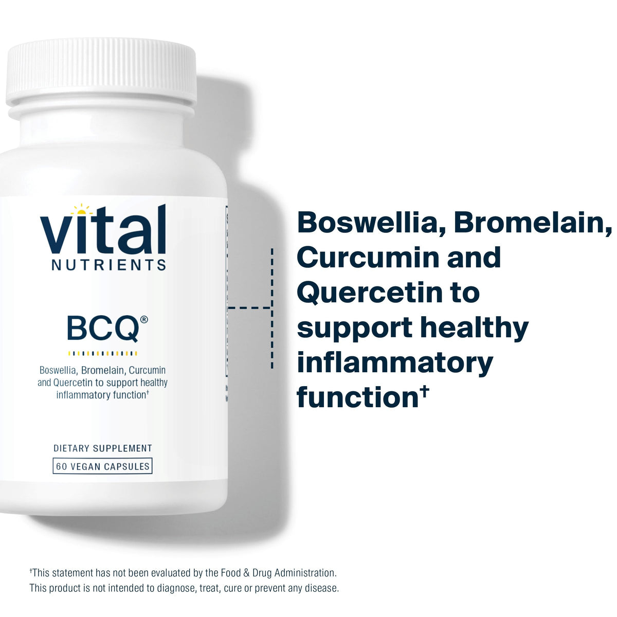 Vital Nutrients BCQ Vegan Joint Support – Boswellia, Bromelain, Curcumin & Quercetin | 60 Capsules