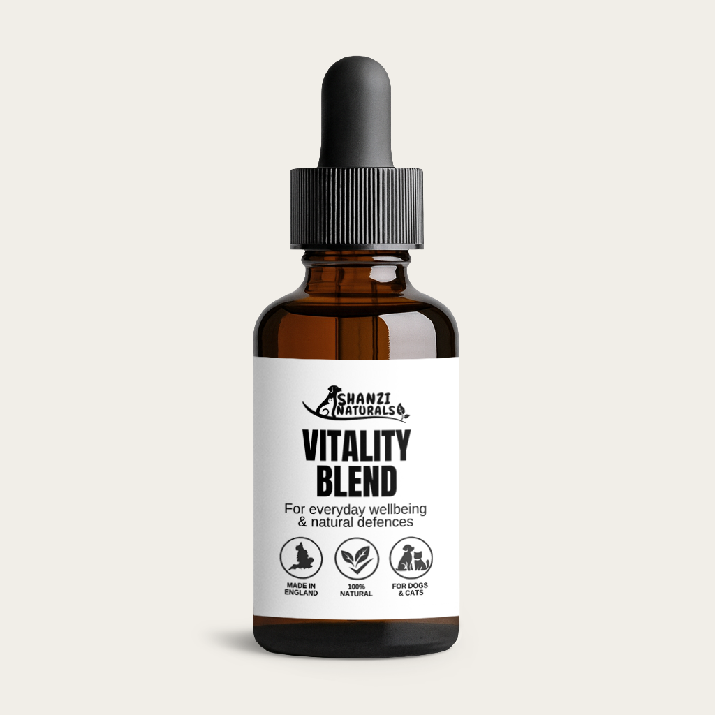 Vitality Blend  Tincture for Dogs & Cats – Everyday Immune Support