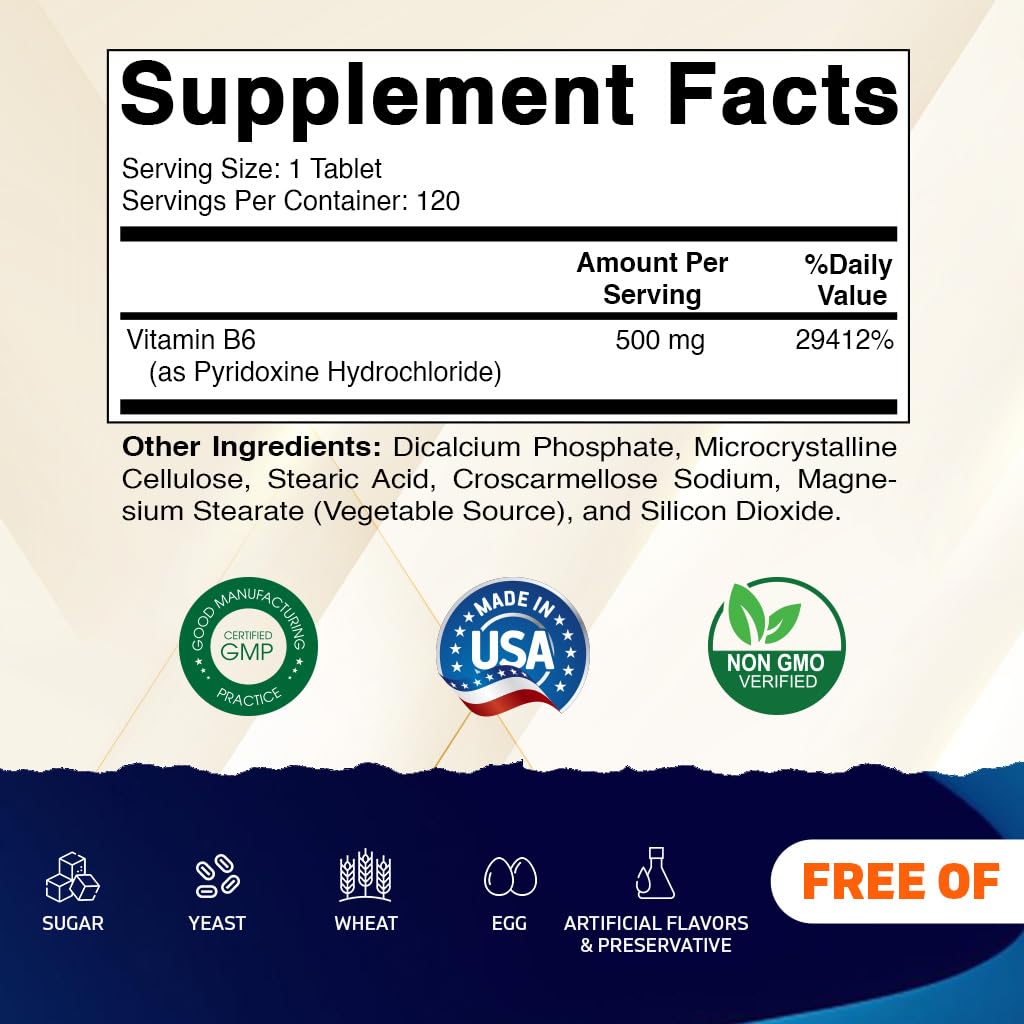 Vitamatic Vitamin B6 (Pyridoxine HCI) 500 mg – 120 Vegetarian Tablets, Pack of 2 | Energy, Metabolism & Immune Support