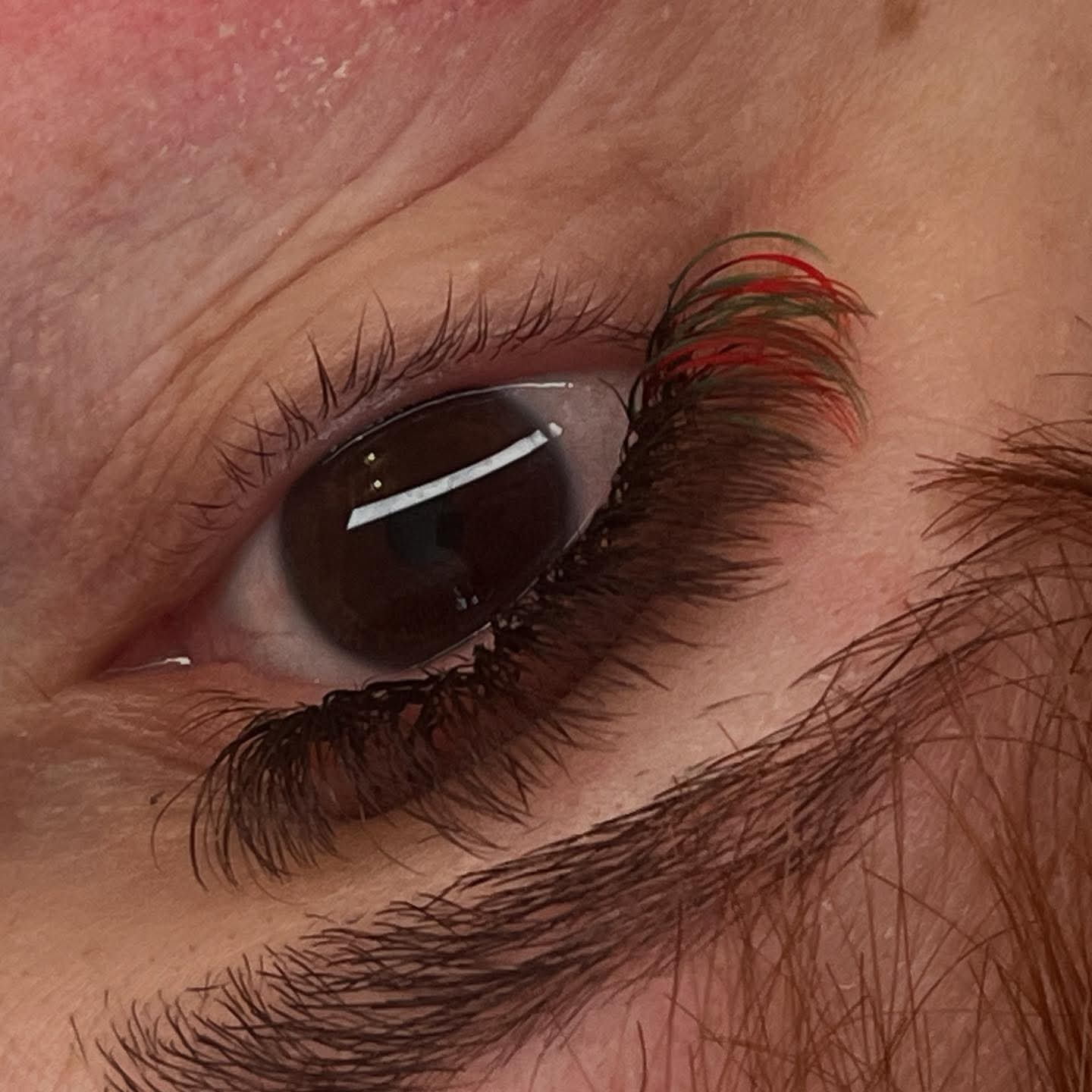 Colour Volume Lashes