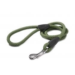 Walk 'R' Cise Dog Nylon Braided Trigger Hook Lead - Green