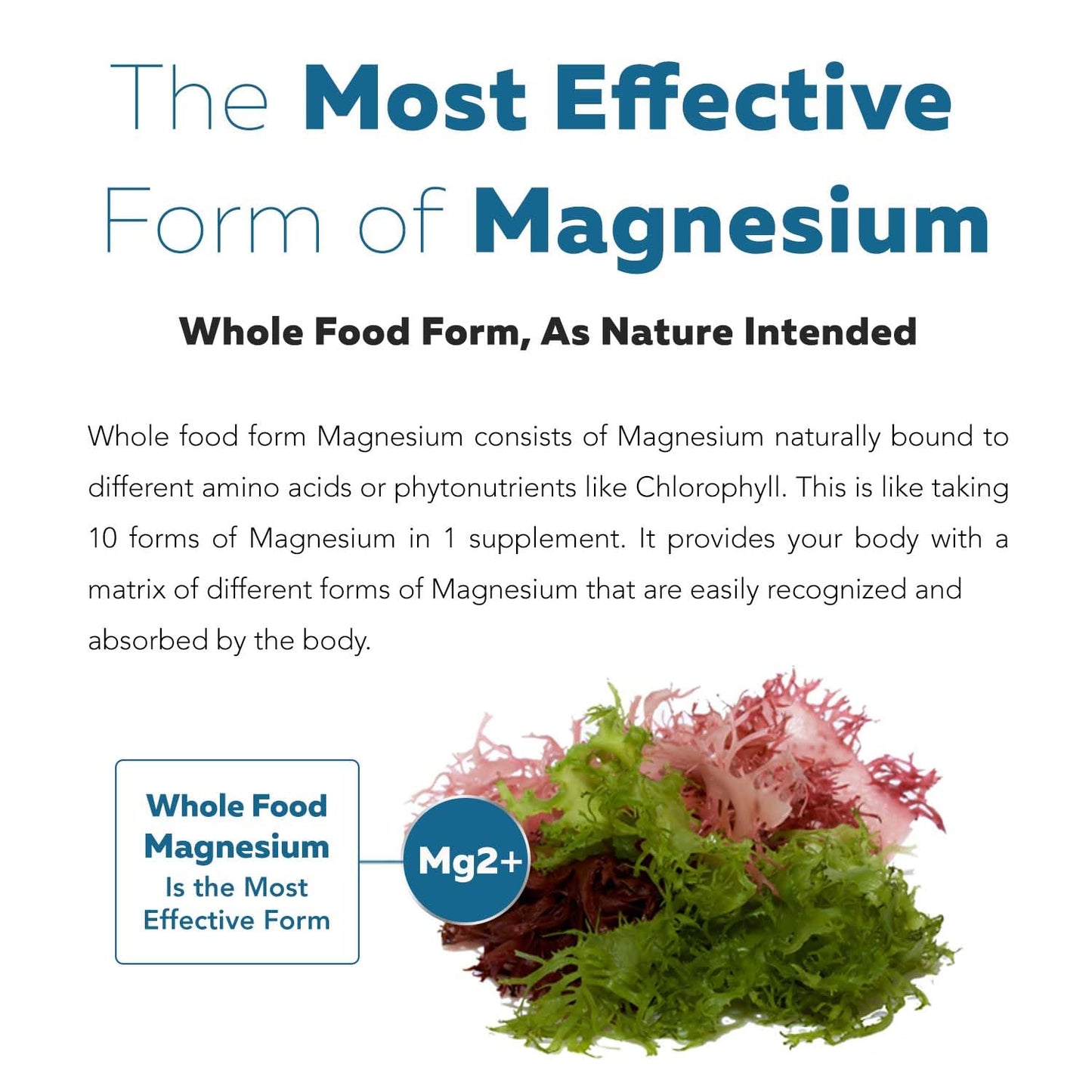 Organic Whole Food Magnesium Supplement - Plant-Based Sea Vegetable Complex, 250 mg per Serving | 60 Capsules