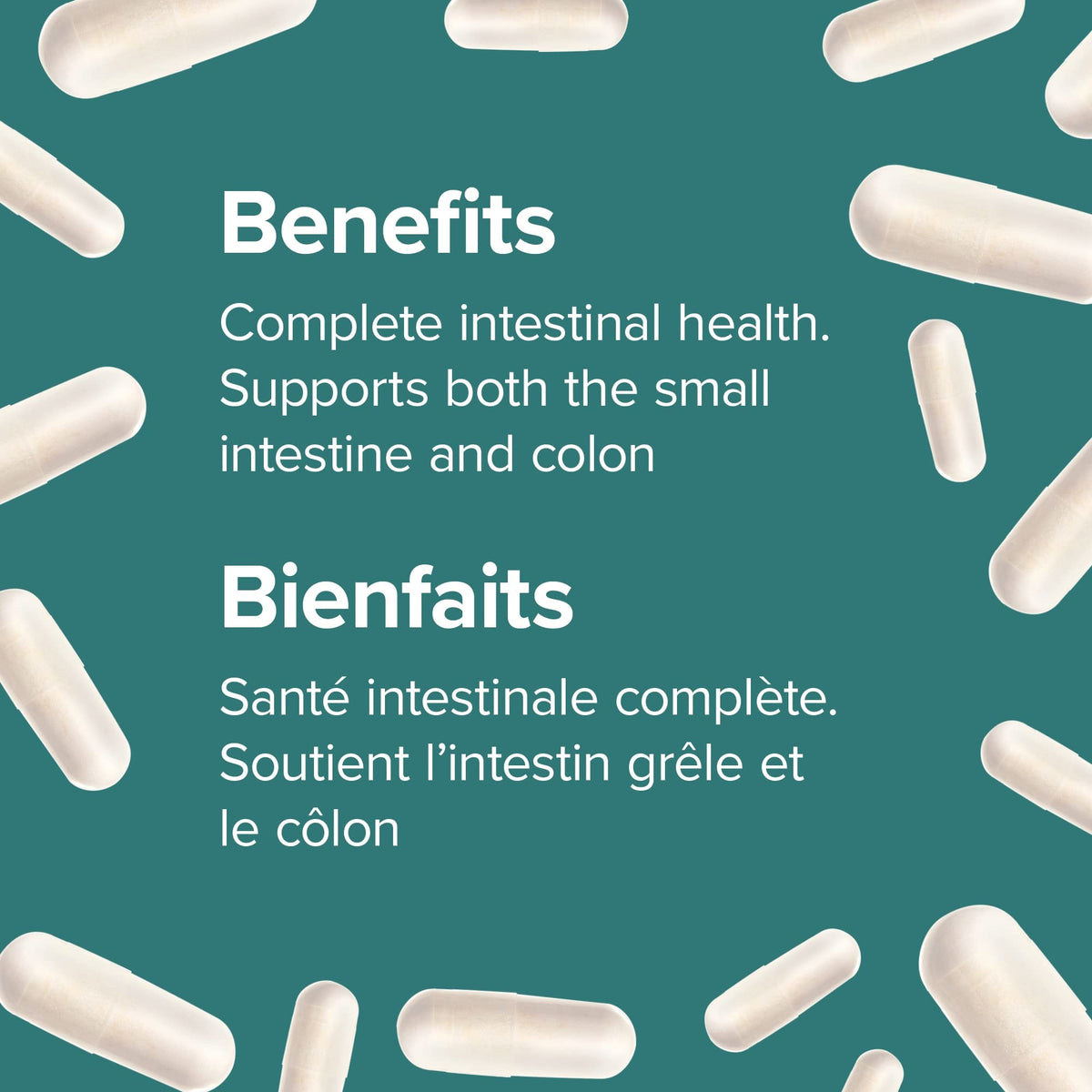 Webber Naturals Complete Probiotic – Multi-Strain, 5 Billion Active Cells, 60 Capsules