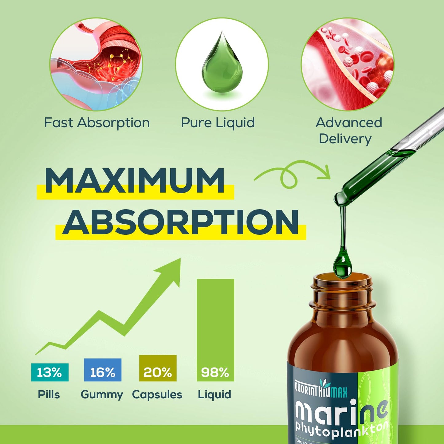 Marine Phytoplankton Drops 2000mg – High Absorption Phytoplankton with Wheatgrass & Fo-ti | Hair Growth, Immunity & Energy | Green Apple Flavor, 2 fl oz (Pack of 1)