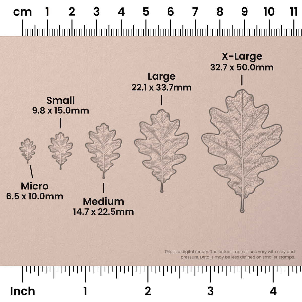 White Oak Leaf Stamps - Photo Textured
