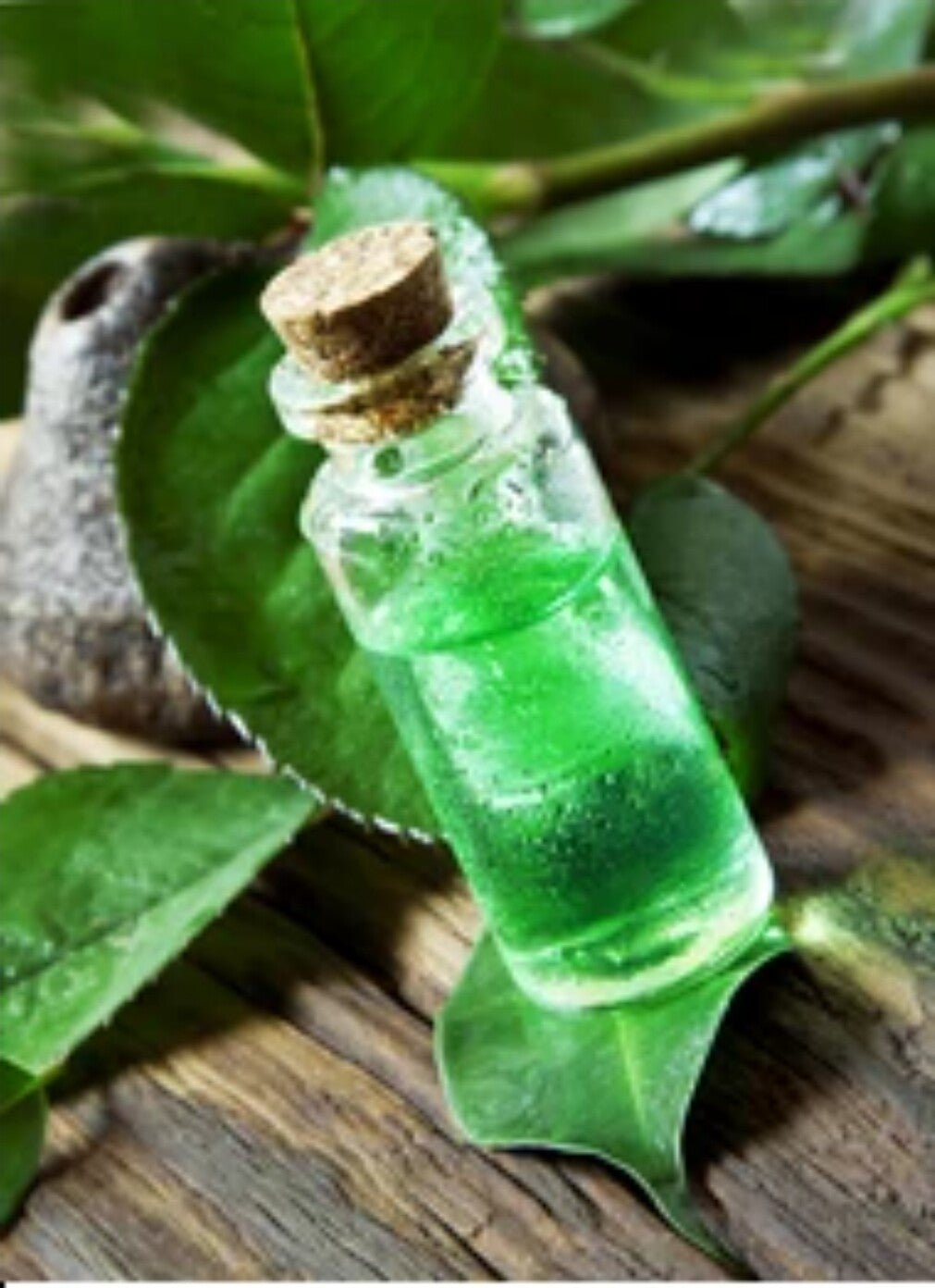 Pure Wintergreen Essential Oil | Natural Muscle Rub & Joint Pain Relief | Handmade in North Yorkshire (10ml, 30ml, 100ml)