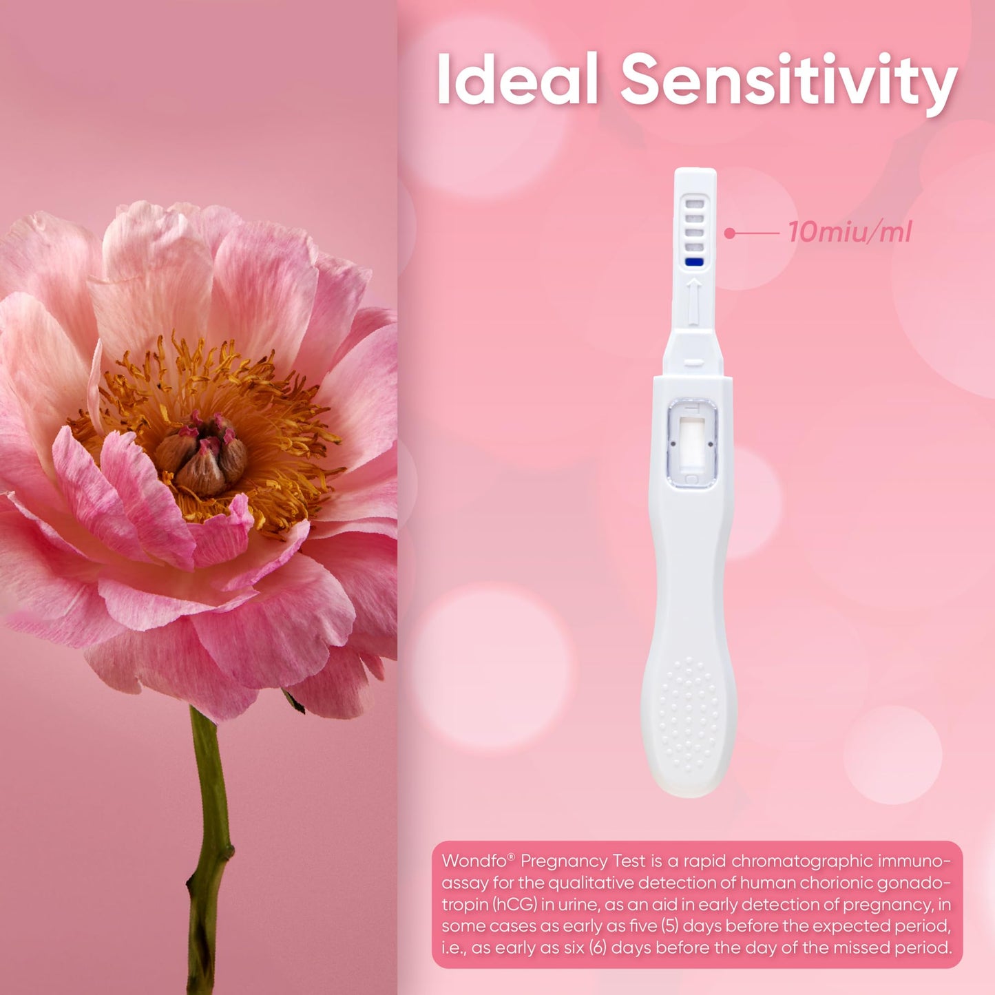 Wondfo Early Result Pregnancy Test Sticks – 6 Days Before Missed Period (5 Pack)